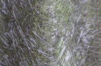 Gore Pit fibreglass roof work